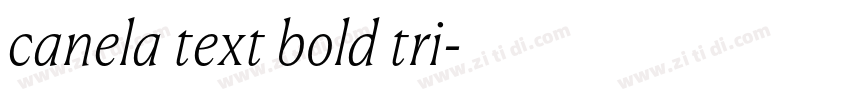 canela text bold tri字体转换